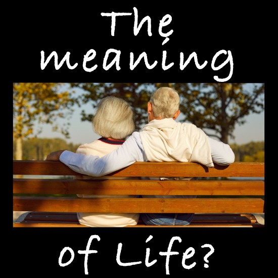 The Meaning of Life