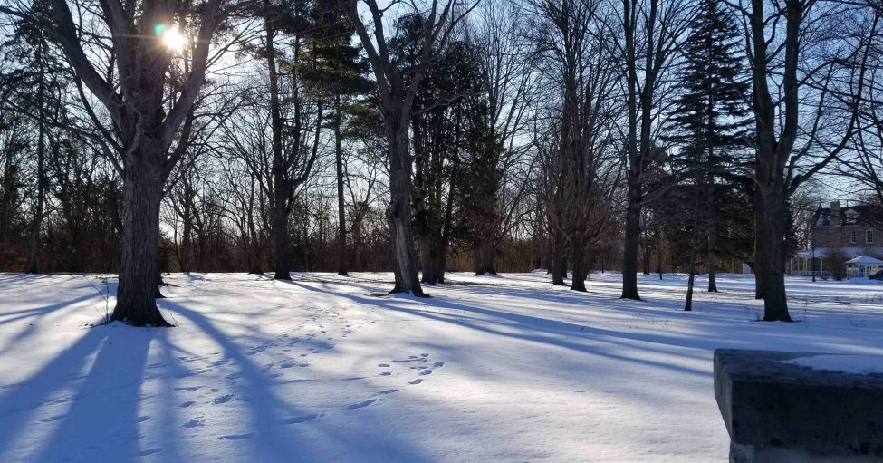 GL snowy sunrise front lawn w lodge